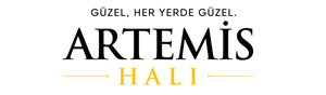 ARTEM─░S HALI